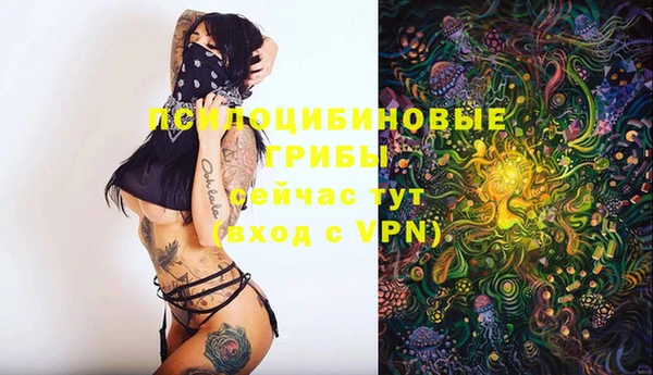 apvp Киреевск