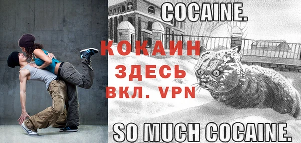гидра Касимов