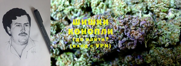 гидра Касимов