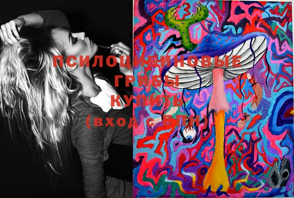 apvp Киреевск