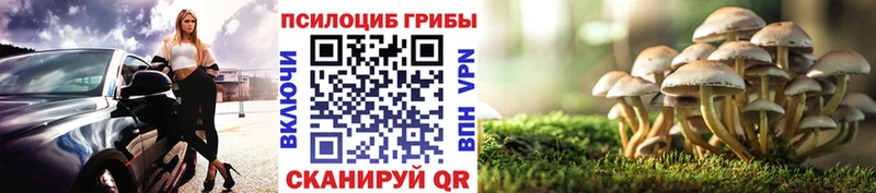 Галлюциногенные грибы ЛСД  Купить где  Мценск 